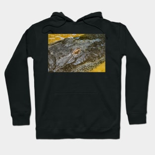 Headshot of the Alligator 2 Hoodie